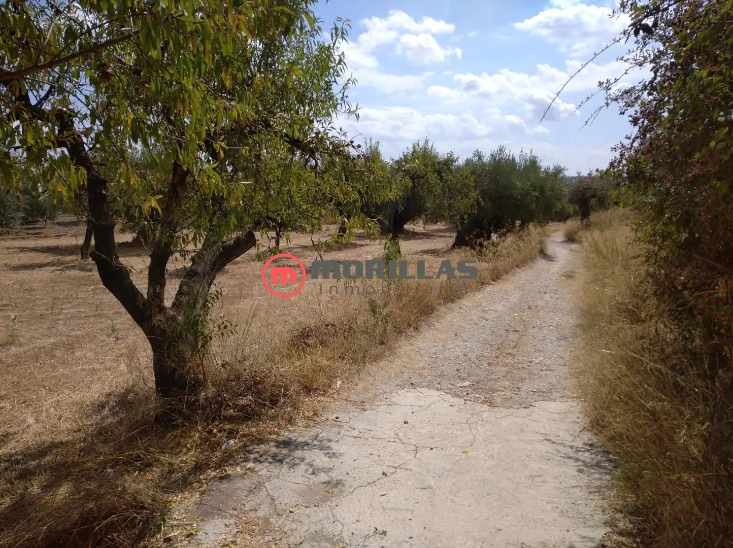 Residencial en venda en Moratalla