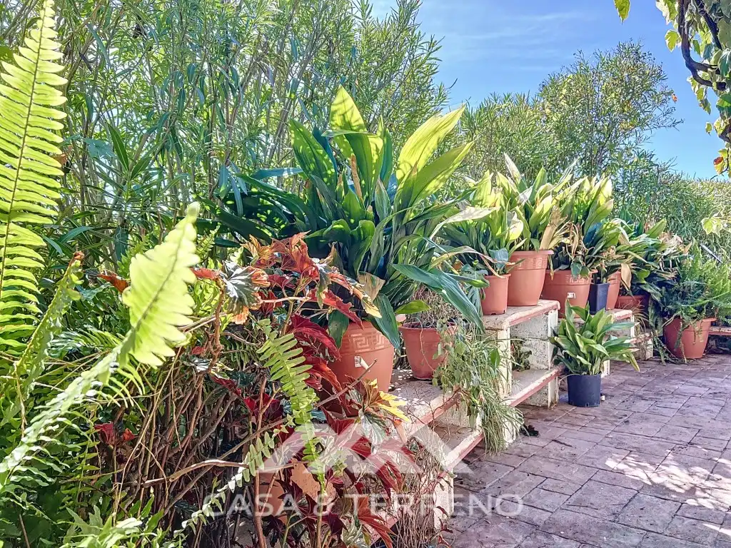 Houses for sale in Camino de Cuesta Bravo, Sedella