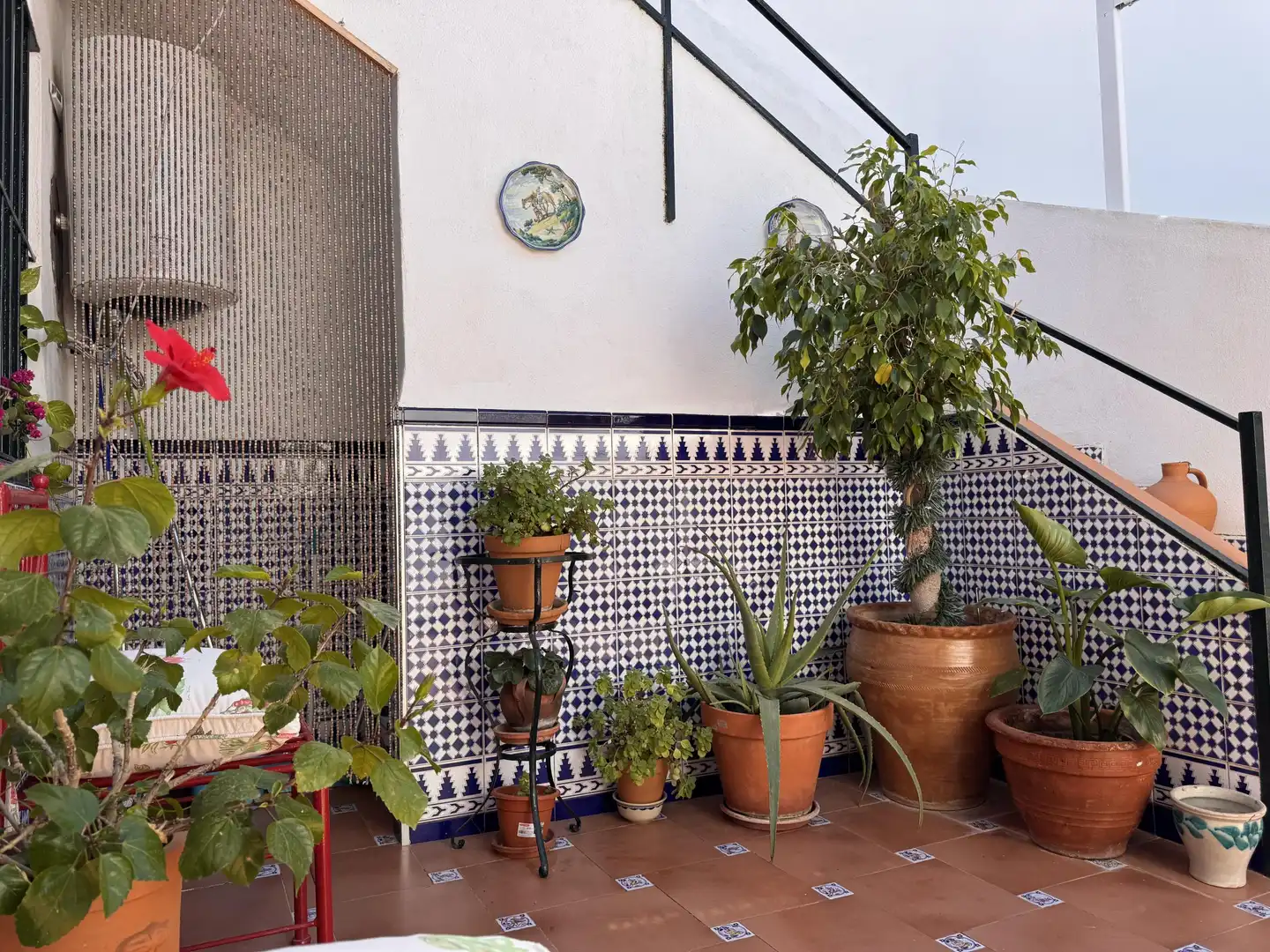 Habitatge amb jardí en venda a Olivares, imagen 12