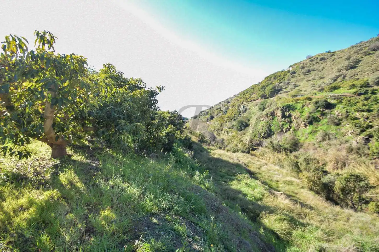 Rustikales Grundstück zum Verkauf in Torrox Pueblo, imagen 5