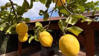 Jardí de Casa o xalet en venda en Riba-roja de Túria amb Aire condicionat, Terrassa i Piscina