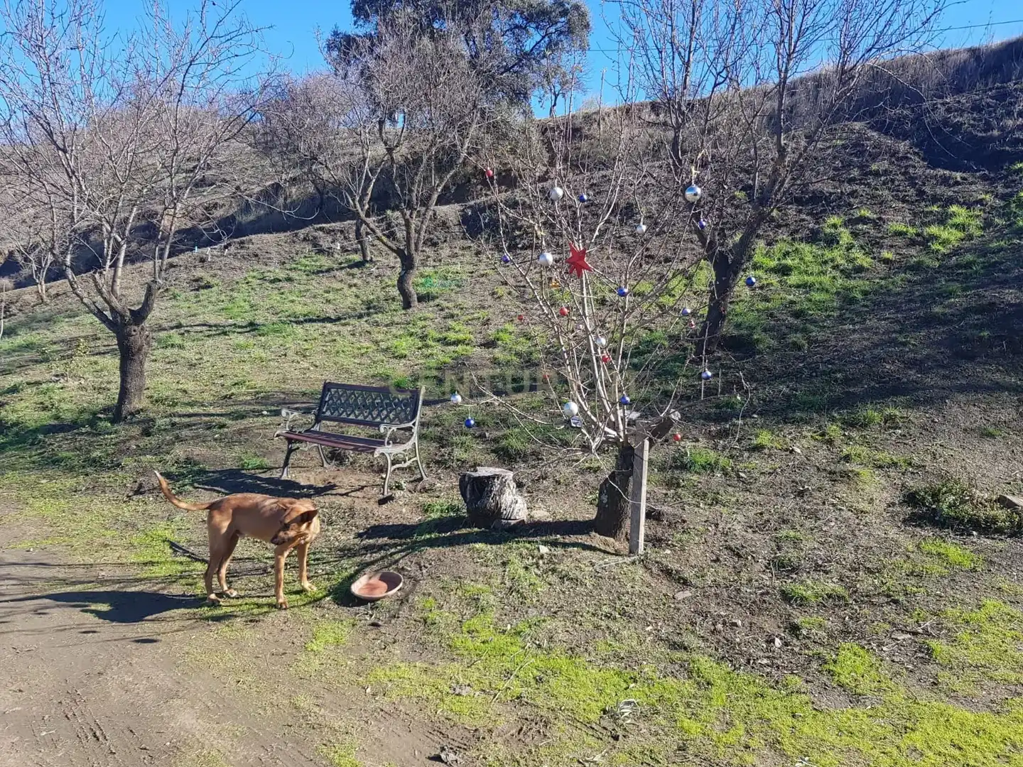 Terreni e lotti in vendita a Ardales, imagen 11