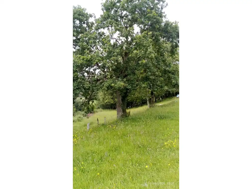 Haus zum Verkauf in Lugar Novas, imagen 23