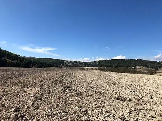 Finca rústica en venda en Alcoy / Alcoi