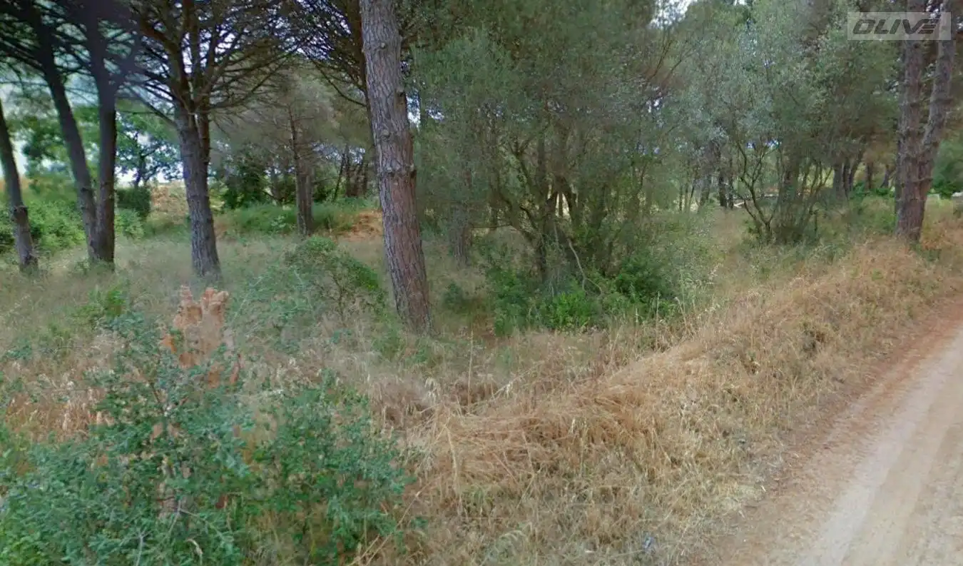 Terrenys i solars en venda a Carretera s'Agaró a Castell d'Aro, imagen 3