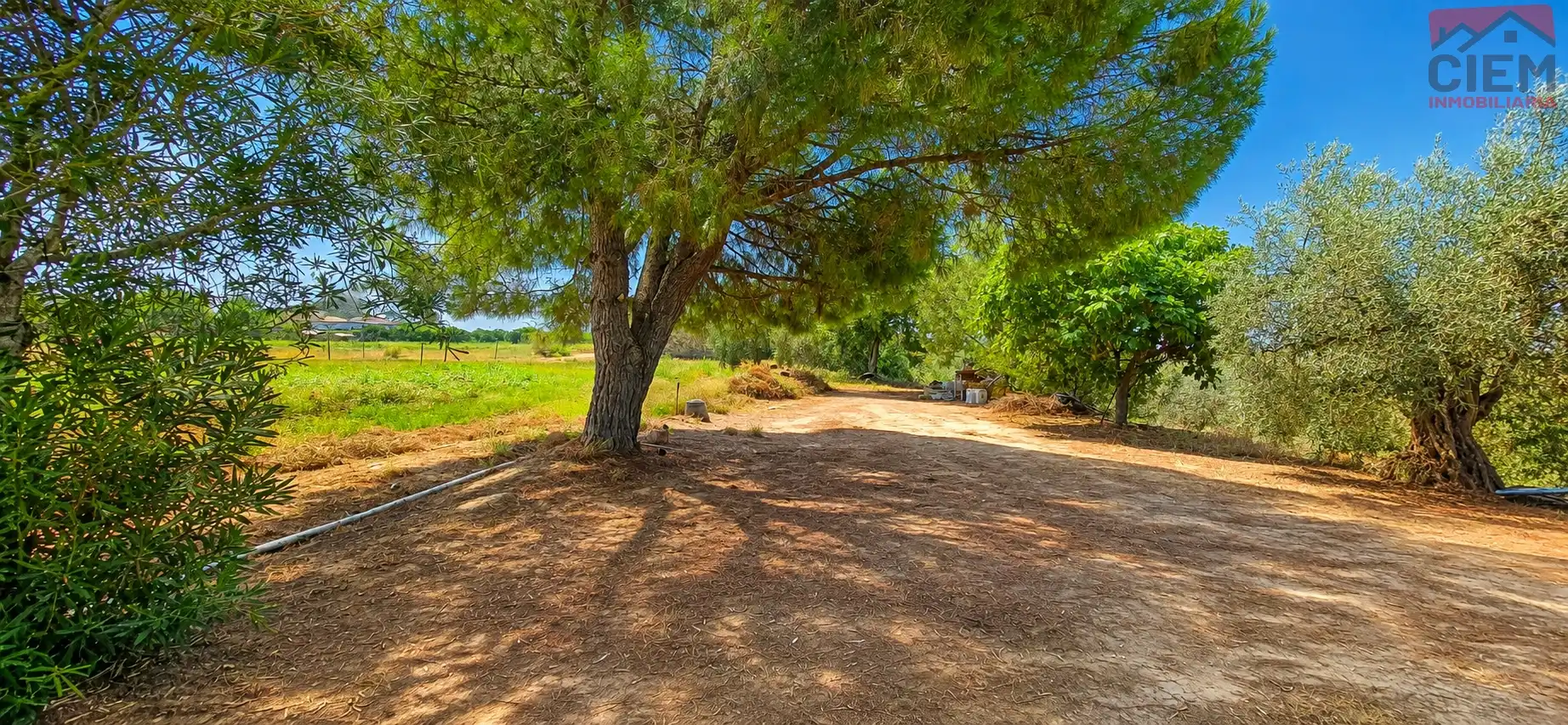 Casa o chalet en venta en Miajadas con Aire acondicionado, Amueblado y Horno