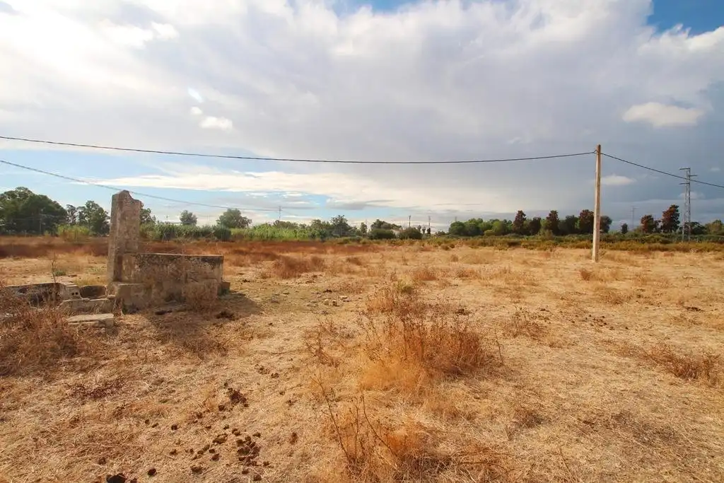 Terreno rústico en venta en Jerez norte - Montealto - Pozoalbero, imagen 6