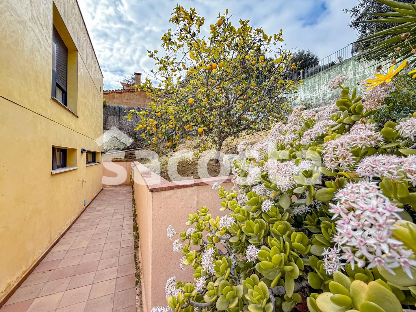 House with terrace for sale in STA CRISTINA, imagen 9