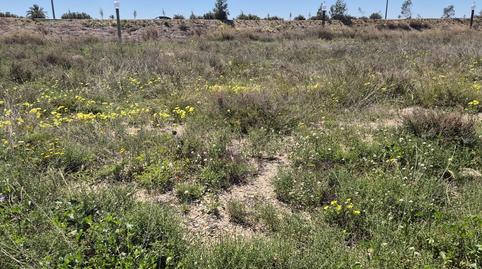 Photo 5 of Residential for sale in El Travaló - Martínez Valero, Alicante