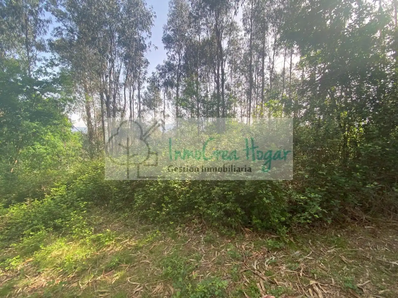 Terreny rústic en venda a Salvaterra de Miño, imagen 3
