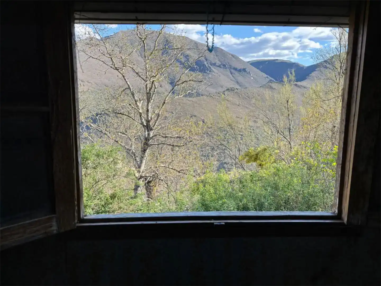 Planta baja en venta en Castrillo de Cabrera con Trastero