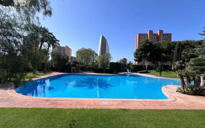 Piscina de Pis en venda en Benidorm amb Aire condicionat, Terrassa i Piscina