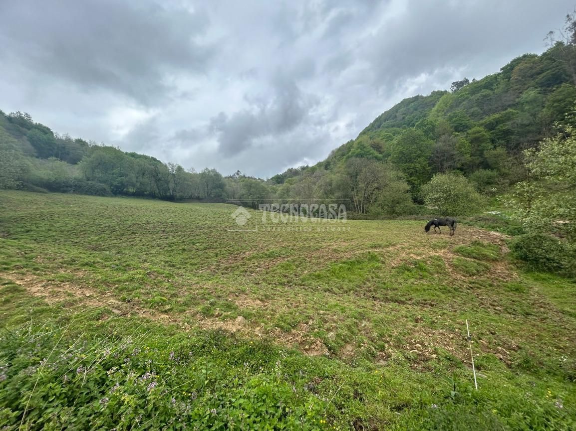 Finca rústica en venda en Gijón 