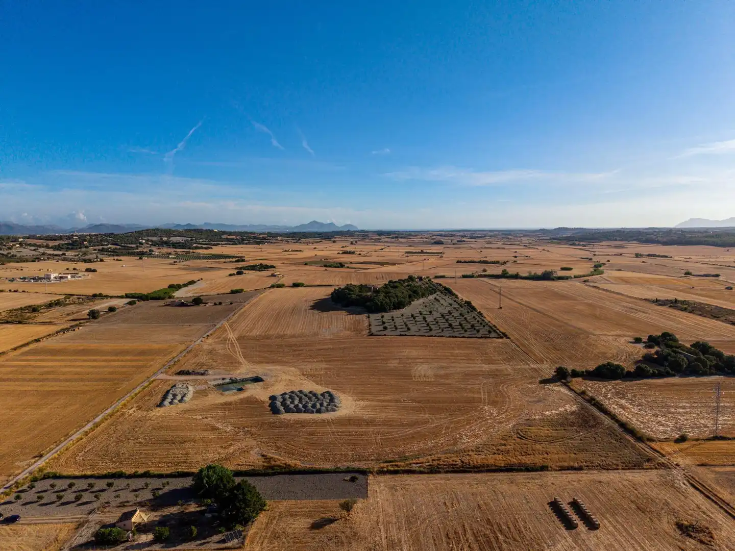 Terreny rústic en venda a Polígono parcela 207 2, imagen 2