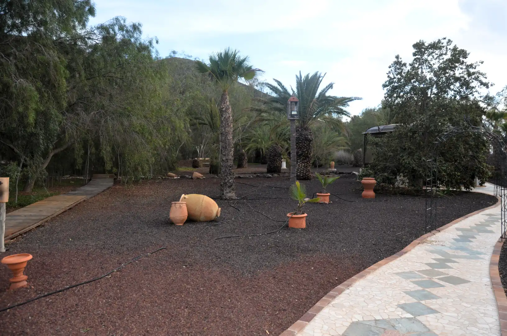 Jardí de Casa o xalet en venda en Pájara amb Jardí privat, Terrassa i Piscina