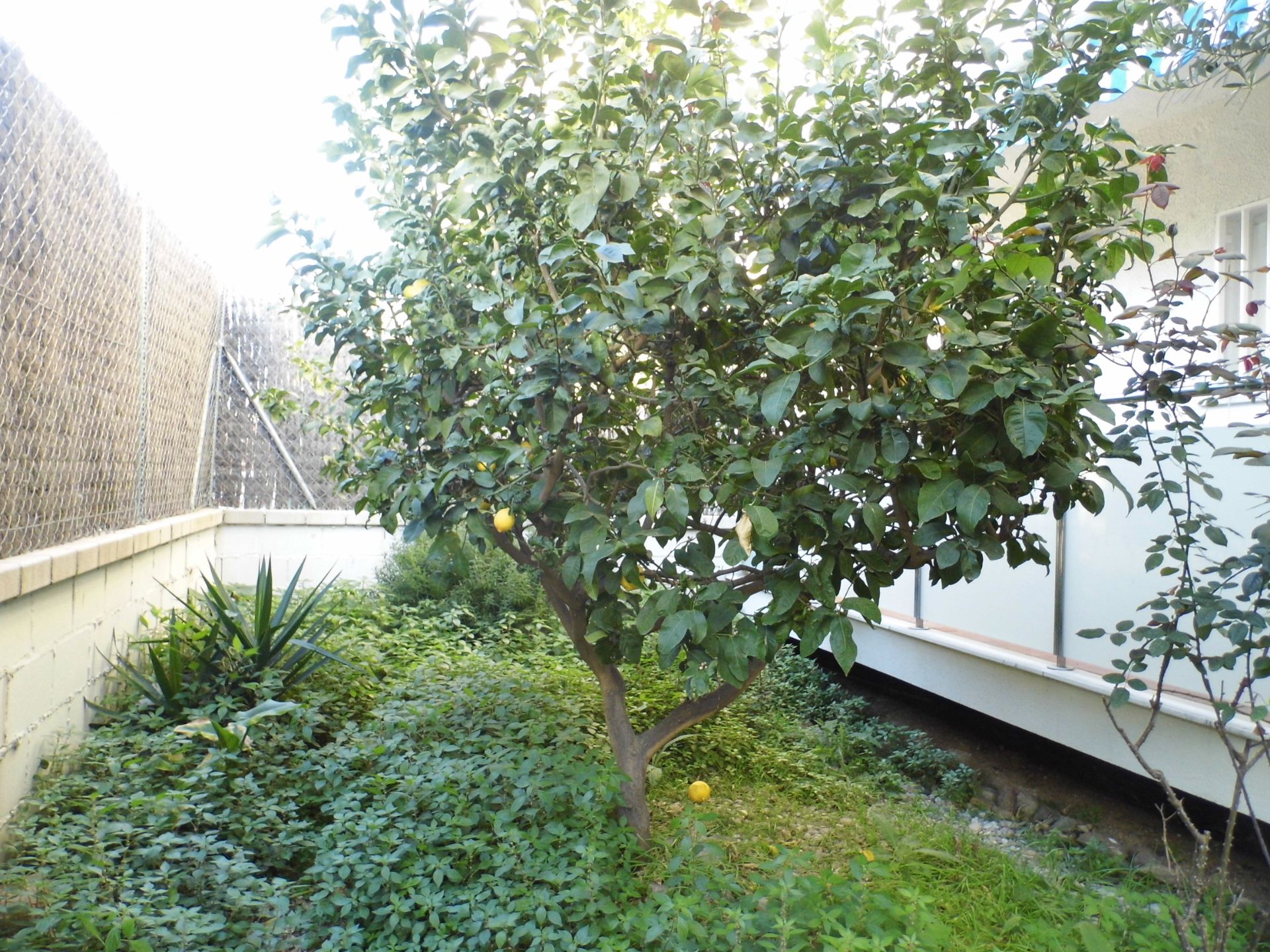 Jardí de Planta baixa en venda en Vilassar de Mar amb Aire condicionat, Calefacció i Jardí privat