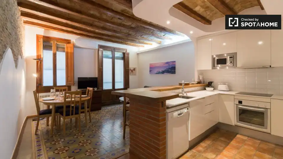 Appartamento con terrazza in affitto a Ciutat Vella