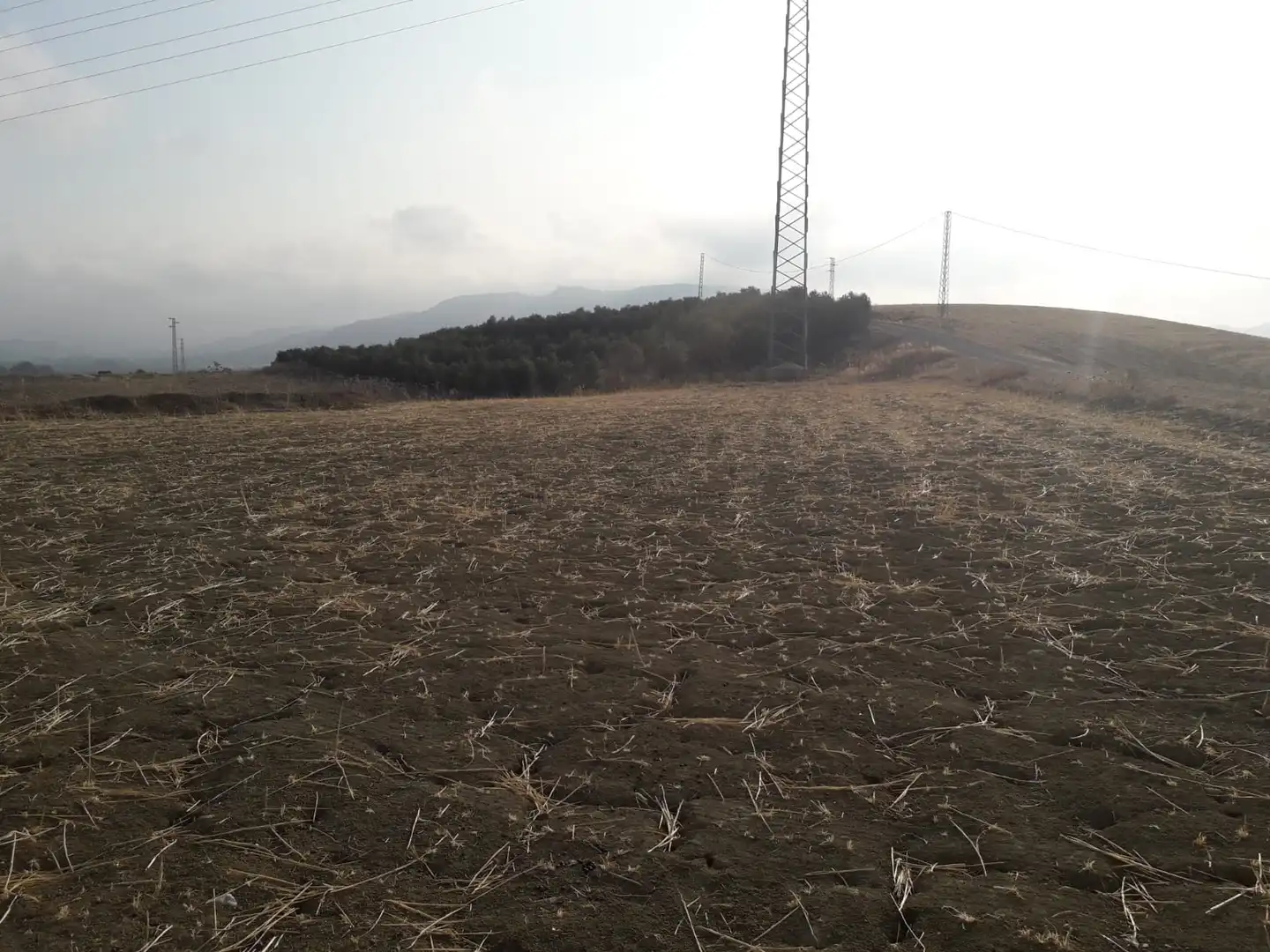 Terrenys i solars en venda a Coín, imagen 4