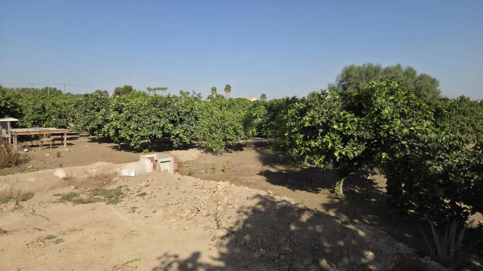 Casa en venta en Daya Vieja, imagen 9