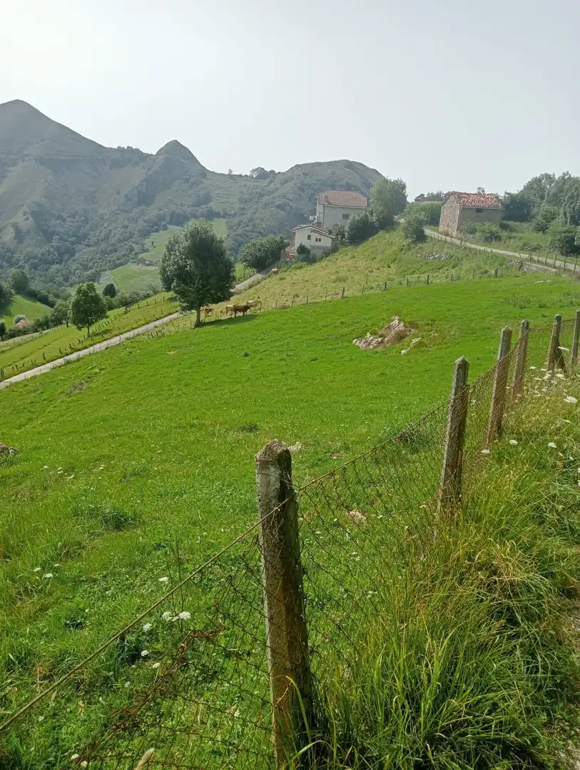 Grundstücke und Bauplätze zum Verkauf in Cangas de Onís, imagen 2