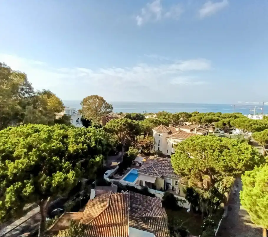 Vista exterior de Pis en venda en Marbella amb Terrassa, Moblat i Forn