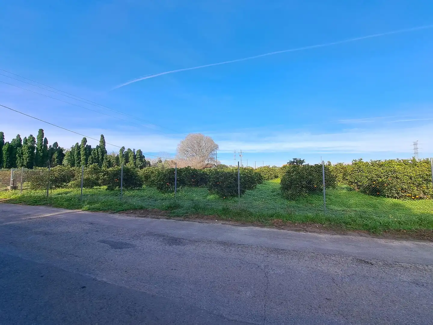 Terreno rústico en venta en Polígono LA COMA (CAMI ELS TOLLS), imagen 21