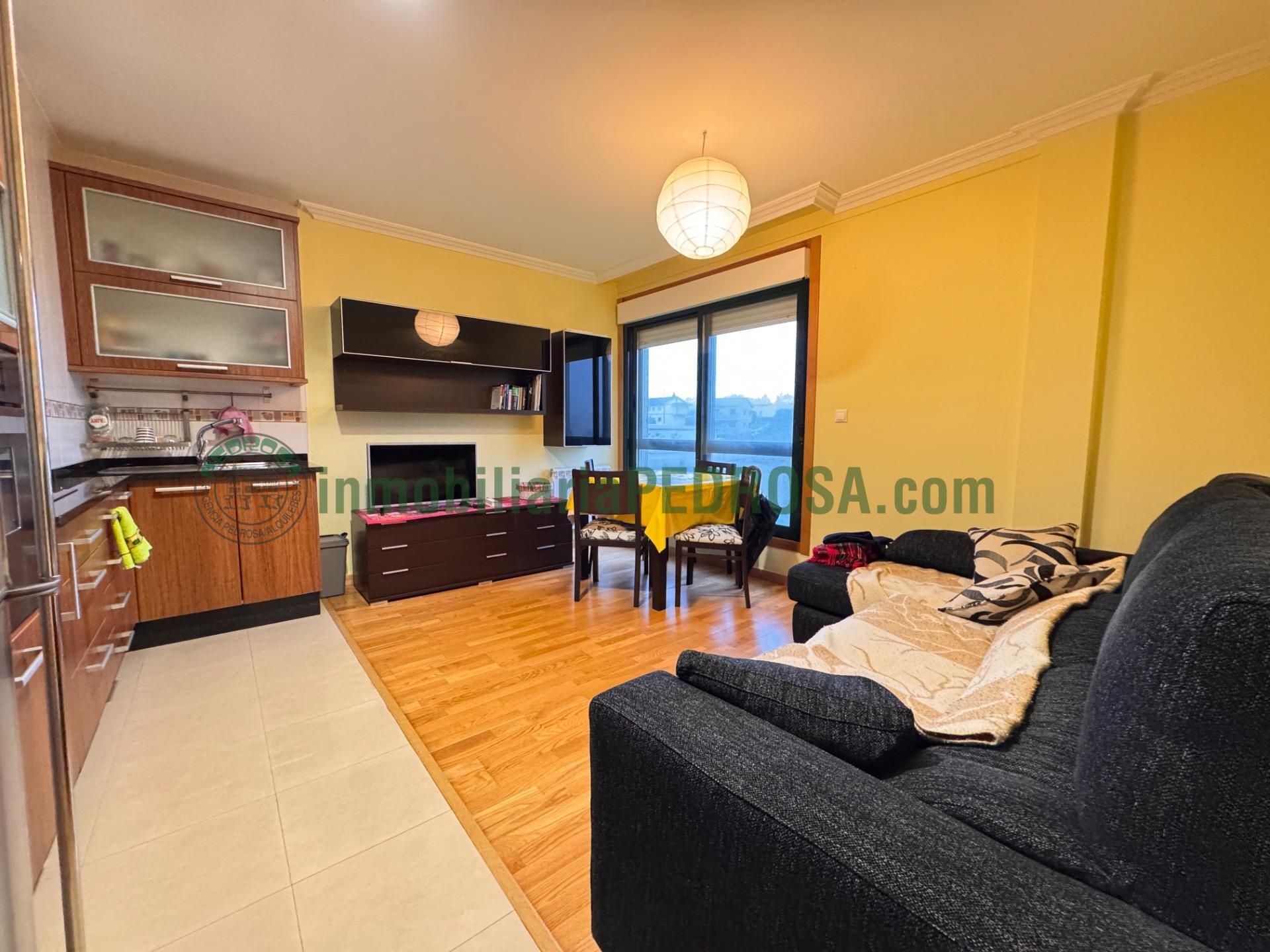 Sala de estar de Apartamento de alquiler en Poio con Calefacción, Trastero y Amueblado