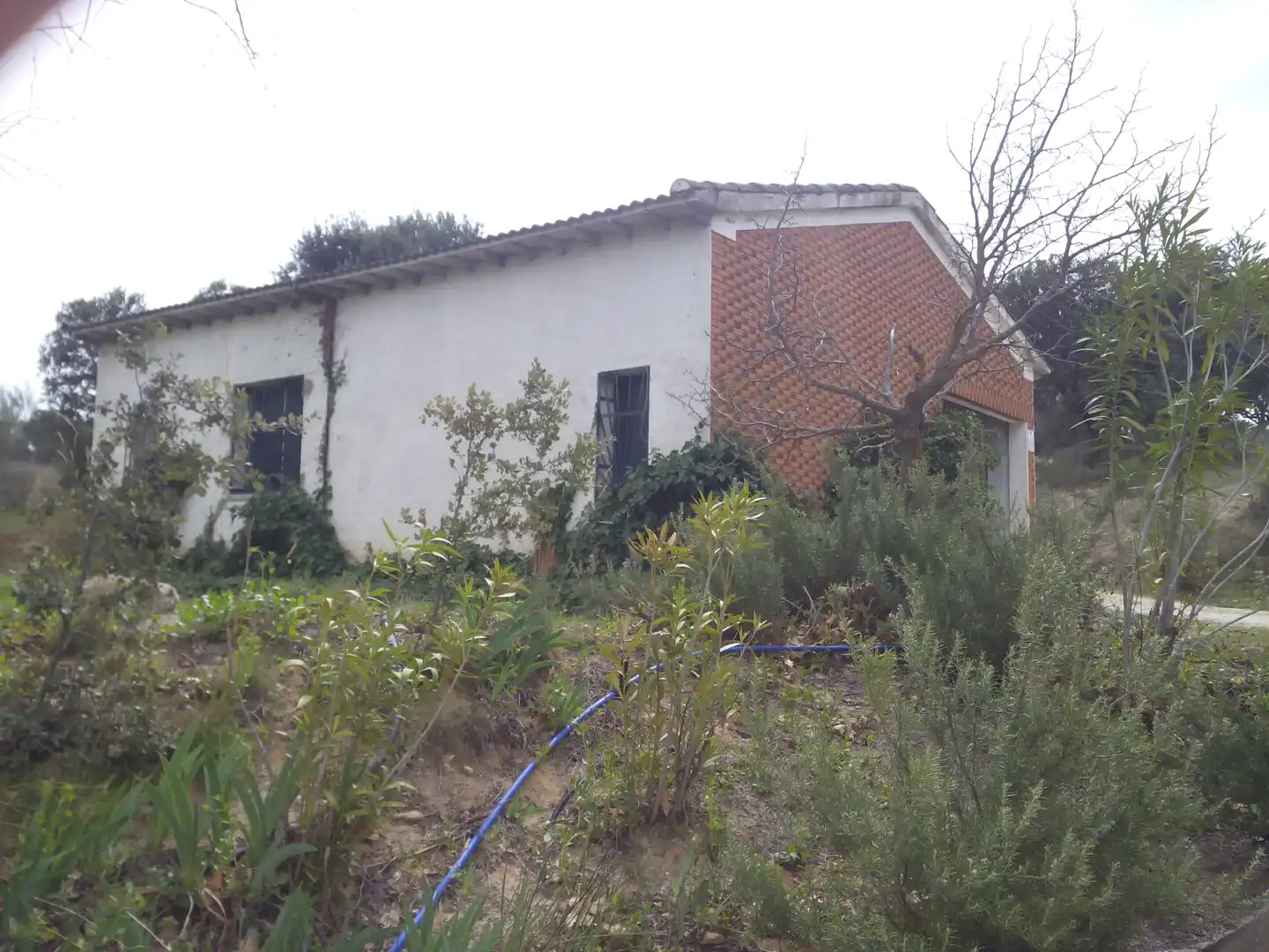 Vista exterior de Terreno en venta en Aldea del Fresno