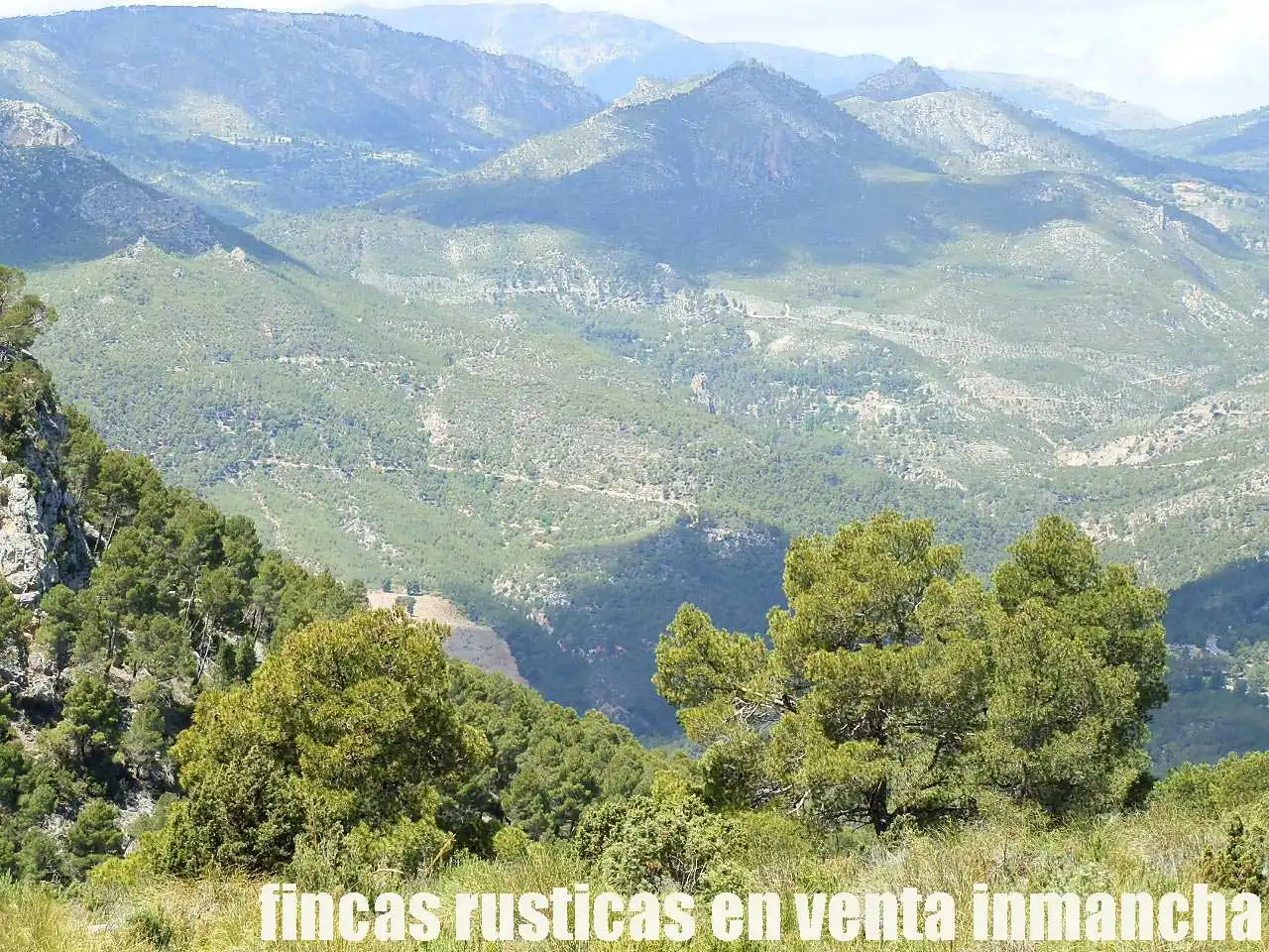Rural land for sale in Letur, imagen 8