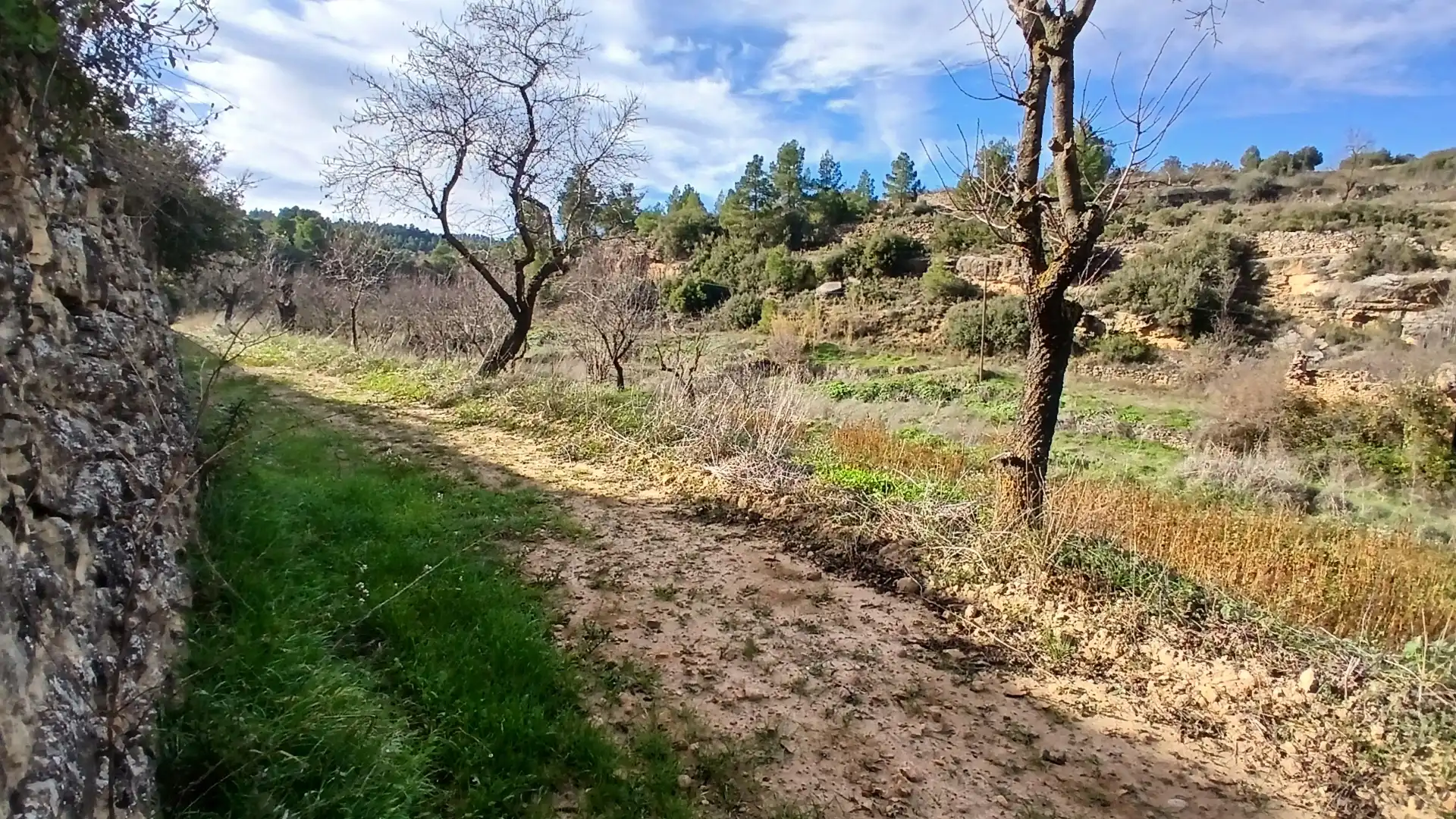 Terreni e lotti in vendita a Camino Fuente 5, imagen 11