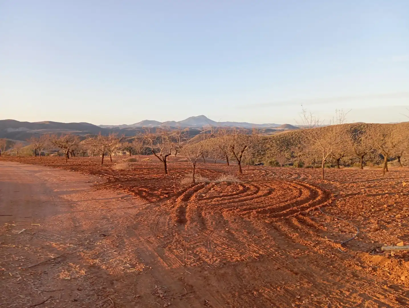 Houses for sale in Bejar