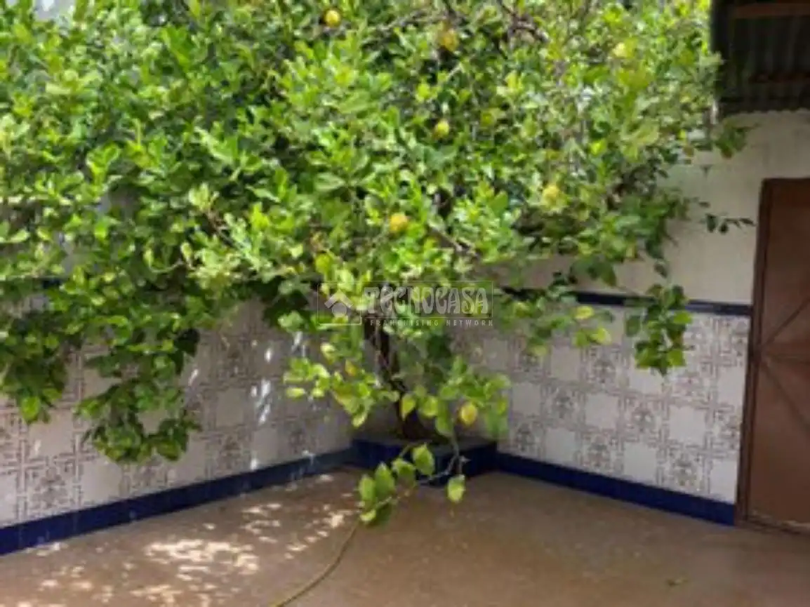 Habitatge amb terrassa en venda a Torredelcampo, imagen 23