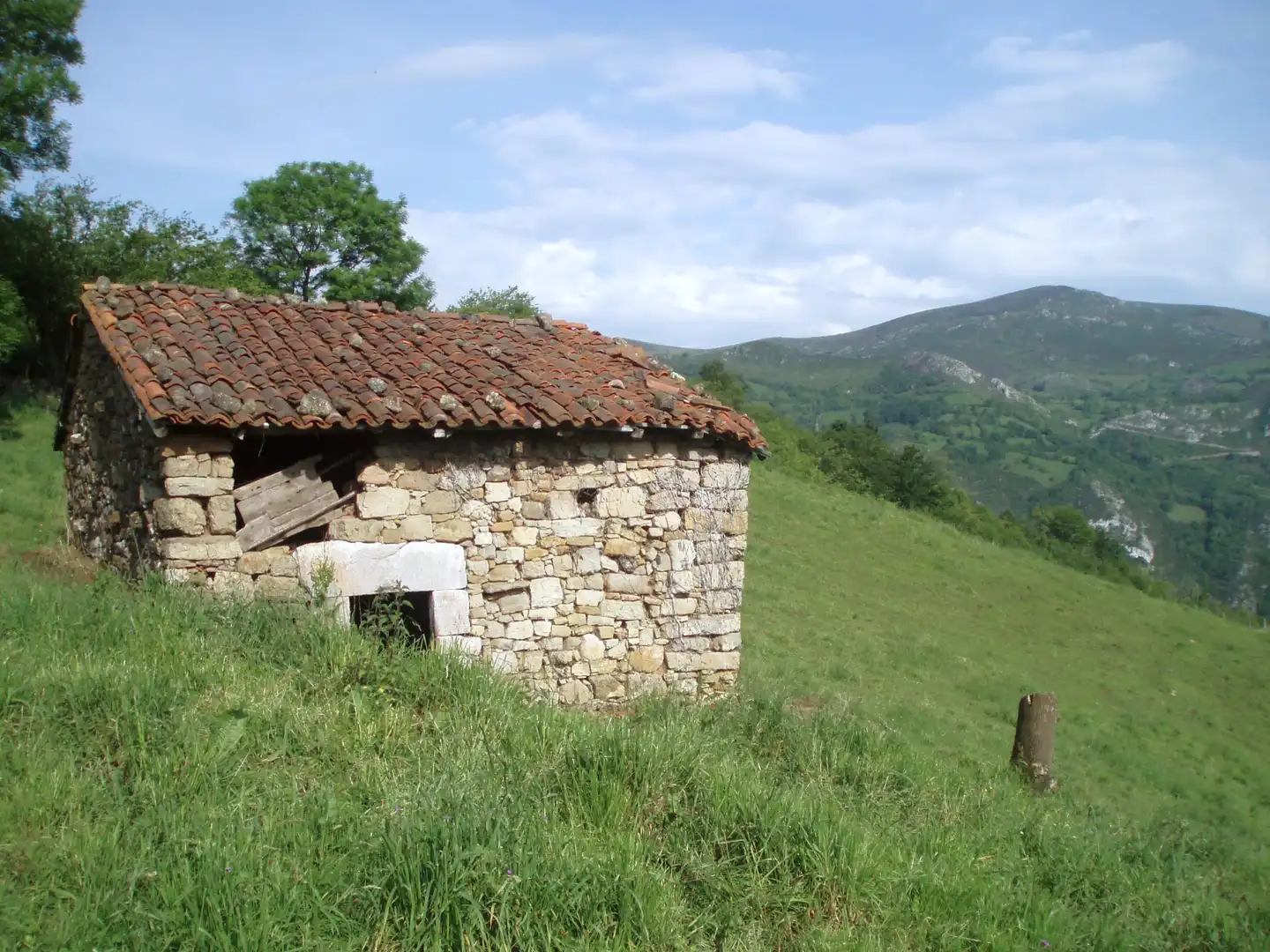 Terreny rústic en venda a Grado, imagen 18
