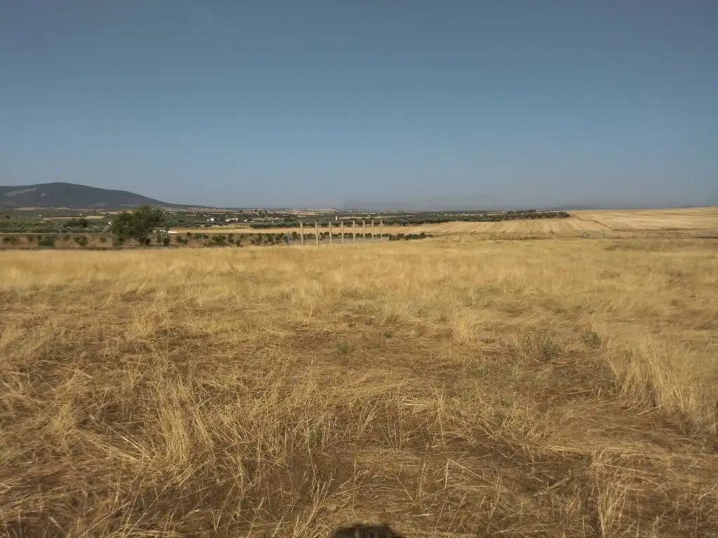 Terreni e lotti in vendita a La Haba, imagen 31