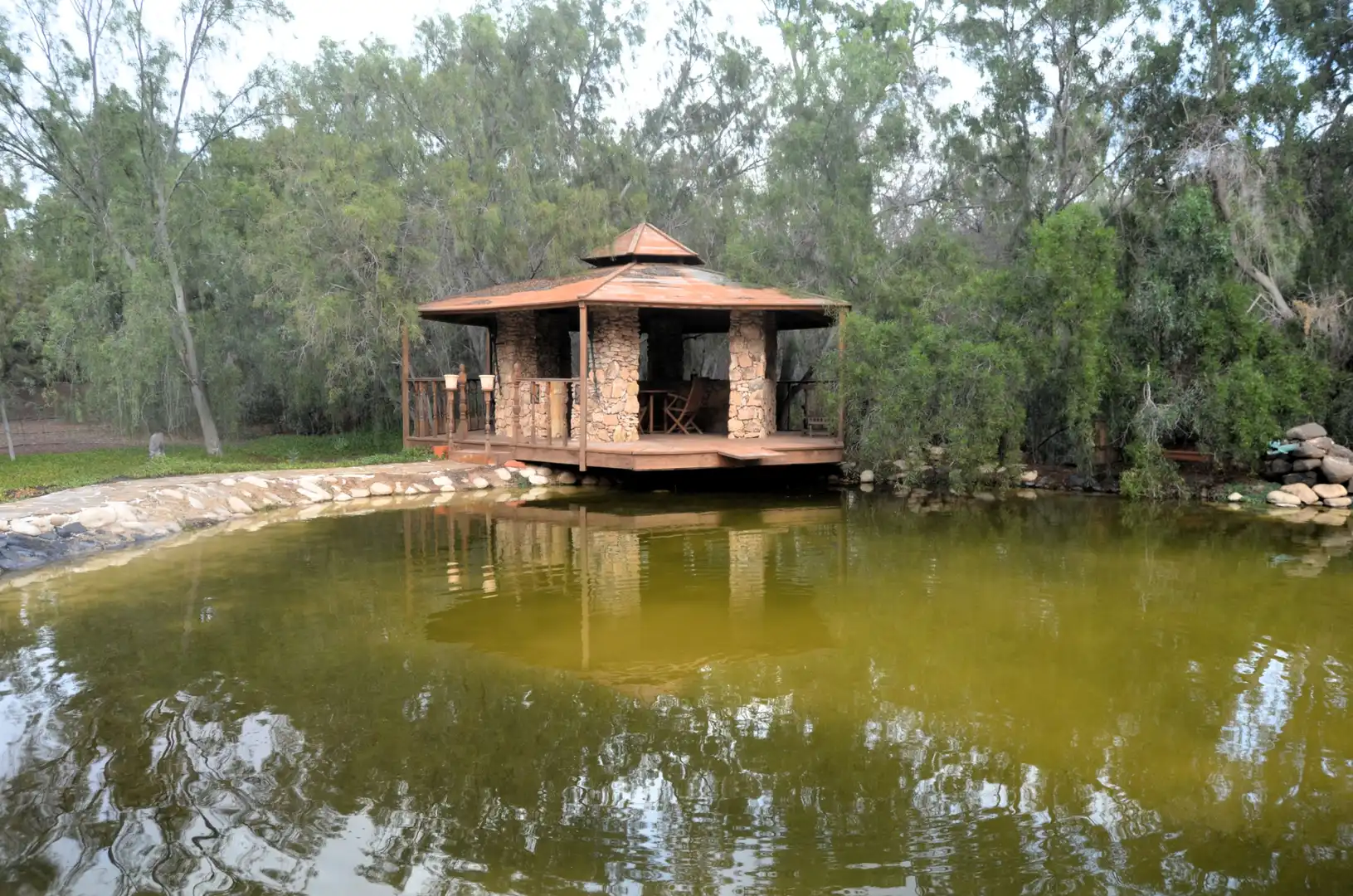 Jardí de Casa o xalet en venda en Pájara amb Jardí privat, Terrassa i Piscina