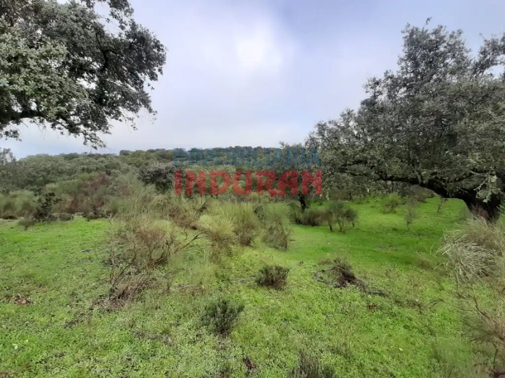 Finca rústica en venta en Millanes