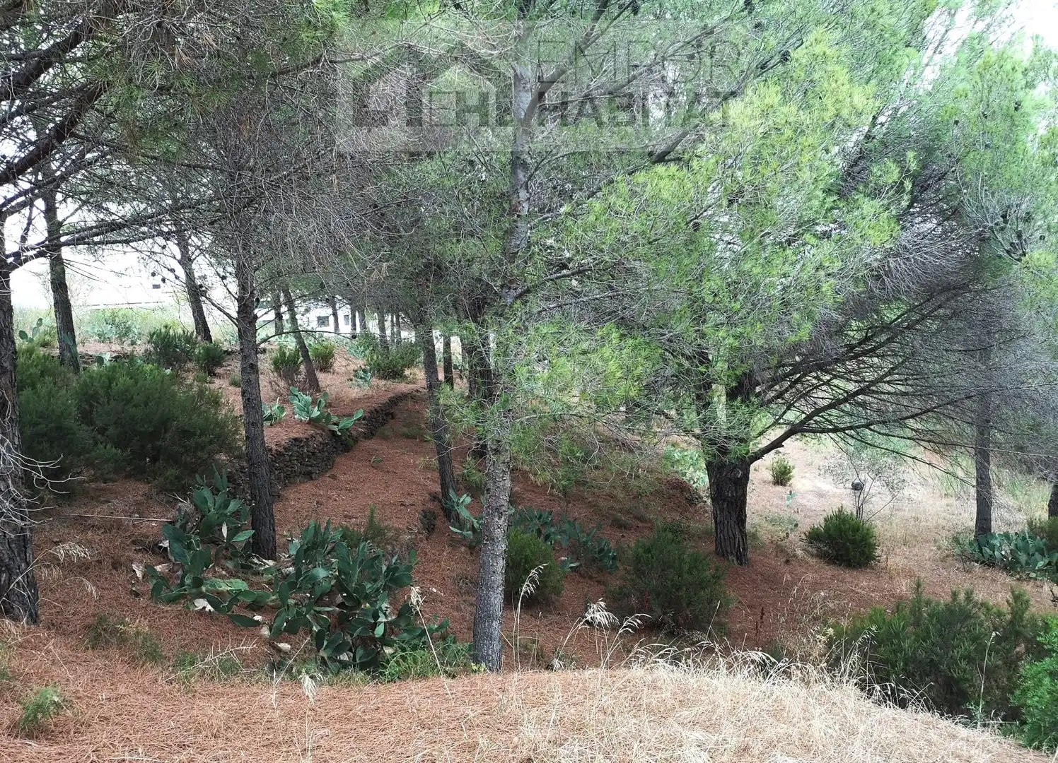 Wohnbaugrundstück zum Verkauf in La Vila, imagen 5