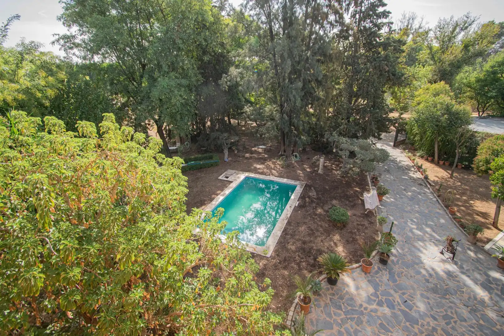 Garten von Country house zum Verkauf in Mairena del Aljarafe mit Terrasse, Schwimmbad und Balkon