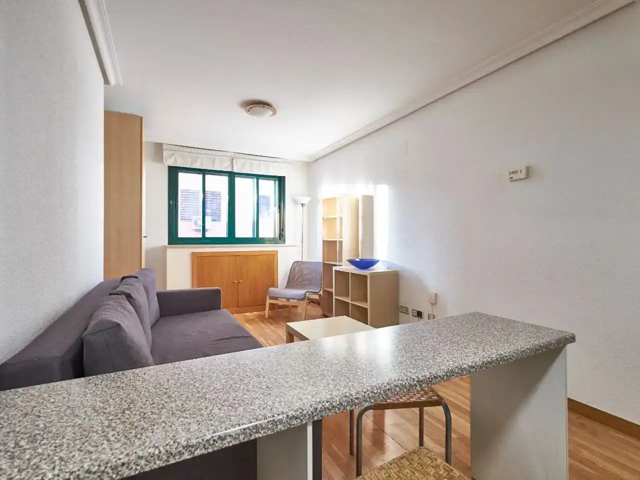Sala d'estar de Estudi en venda en Madrid amb Aire condicionat, Jardí privat i Parquet