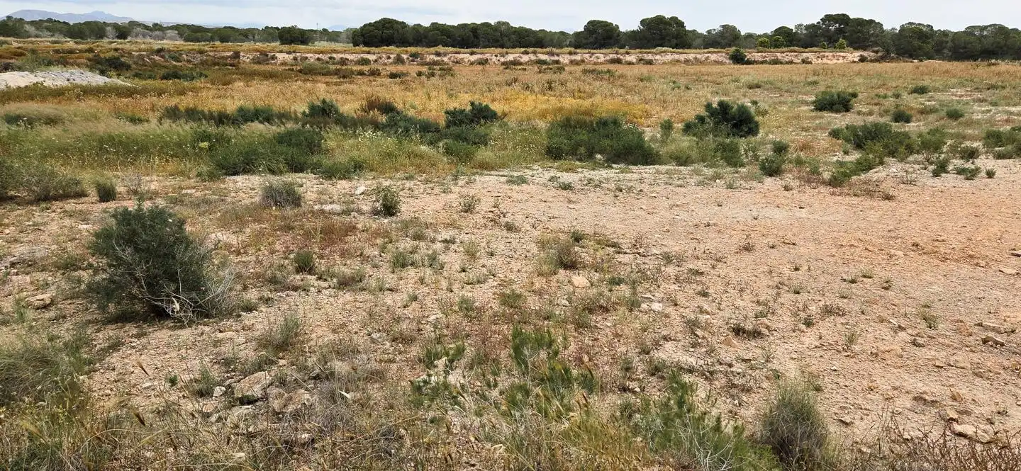 Residential zum Verkauf in Elche / Elx