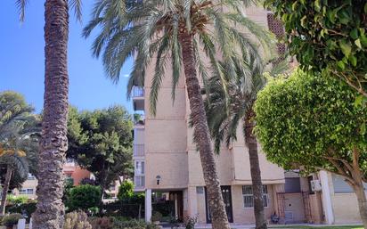 Exterior view of Apartment to rent in Alicante / Alacant  with Air Conditioner and Terrace