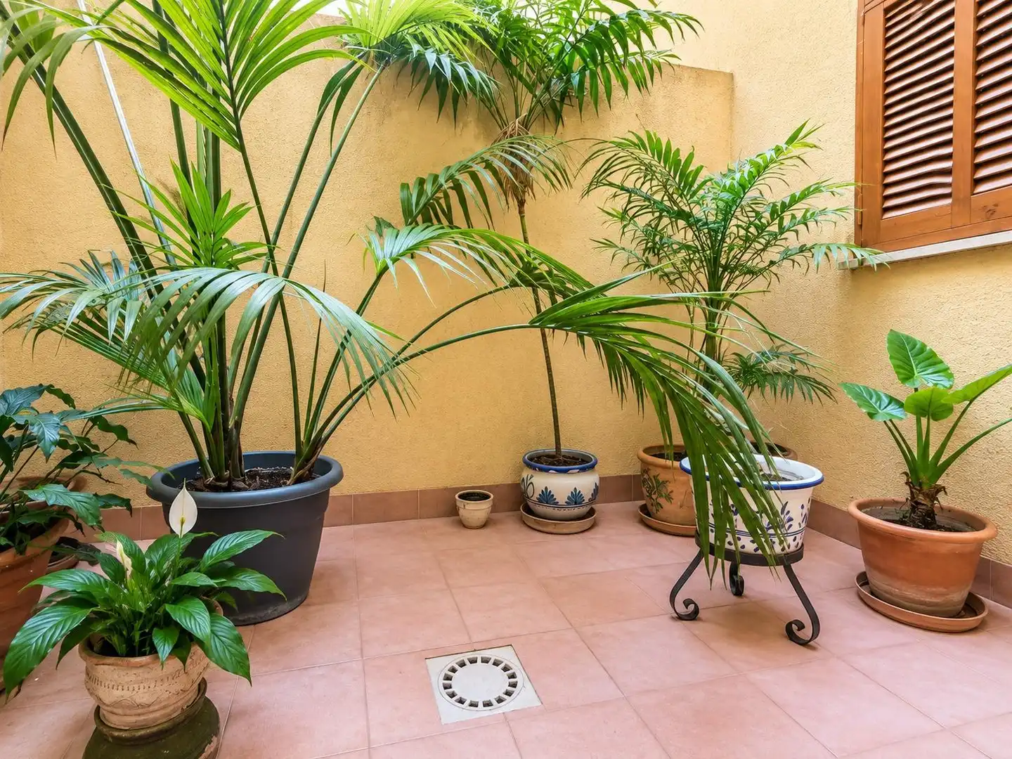Terrassa de Planta baixa en venda en Inca amb Calefacció, Jardí privat i Terrassa