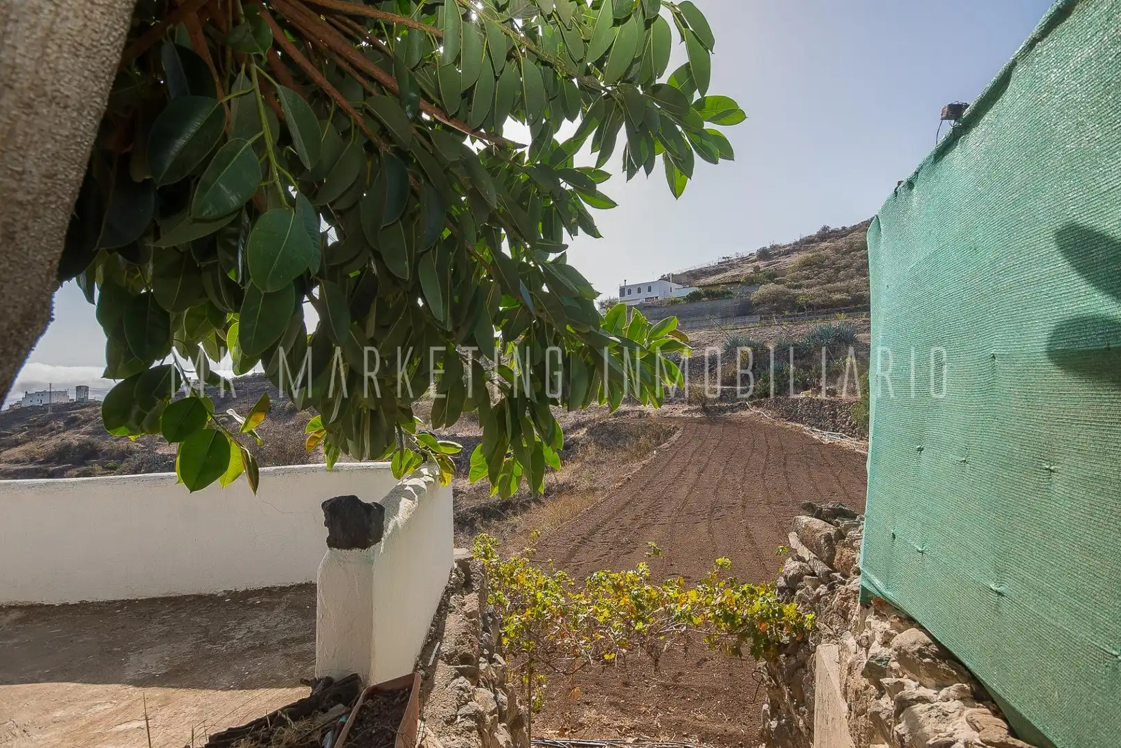 Vista exterior de Finca rústica en venta en Telde con Jardín privado y Terraza