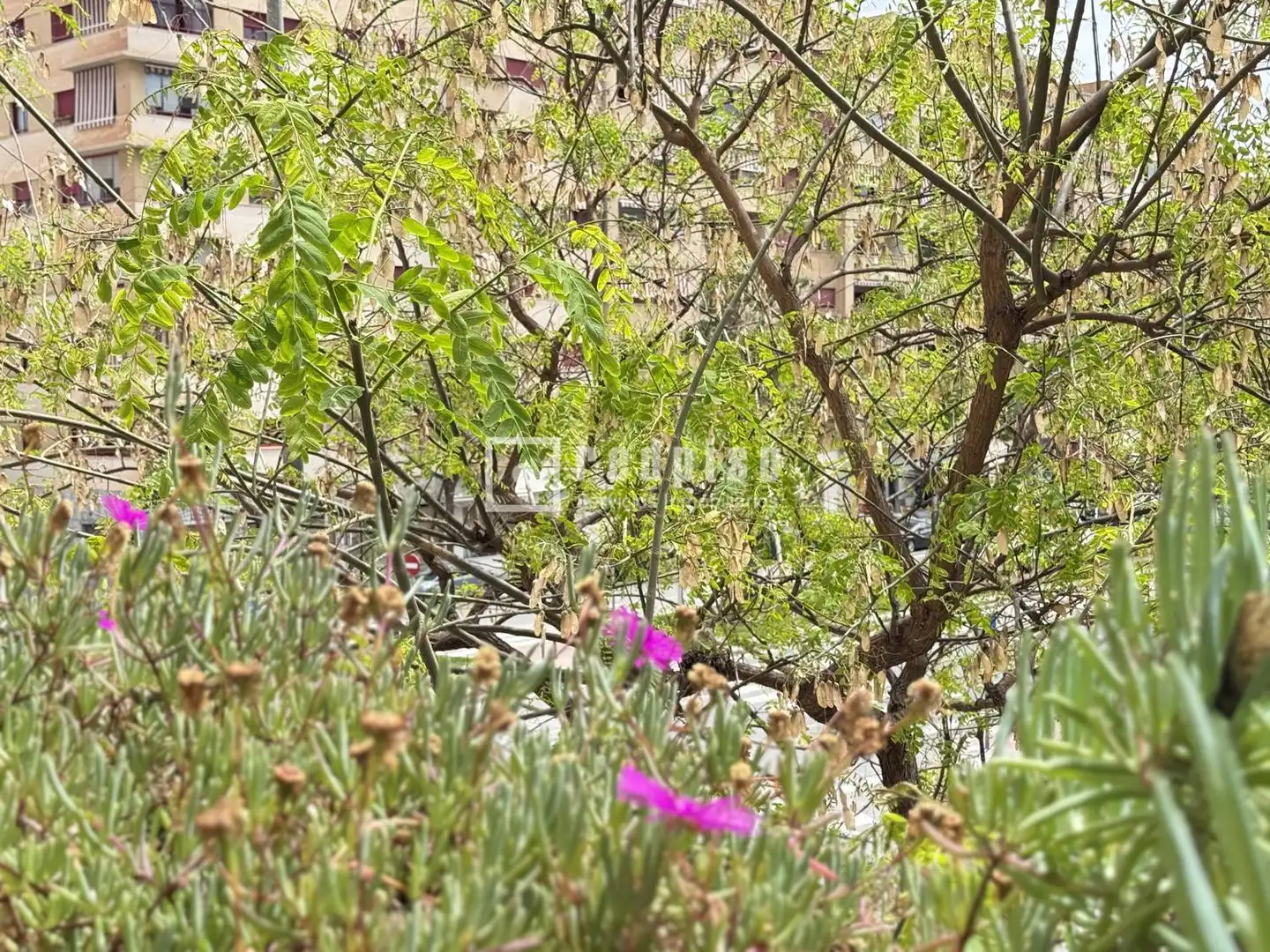 Jardín de Piso en venta en Málaga con Aire acondicionado, Calefacción y Jardín privado