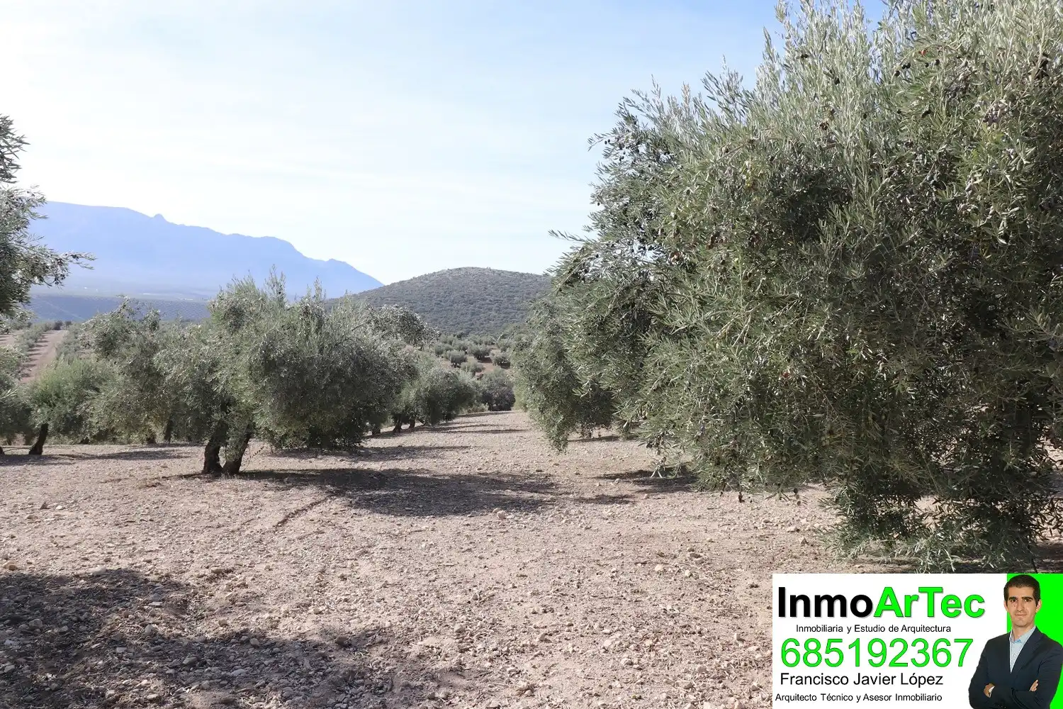 Finca rústica en venda en Iznalloz amb Jardí privat, Terrassa i Piscina