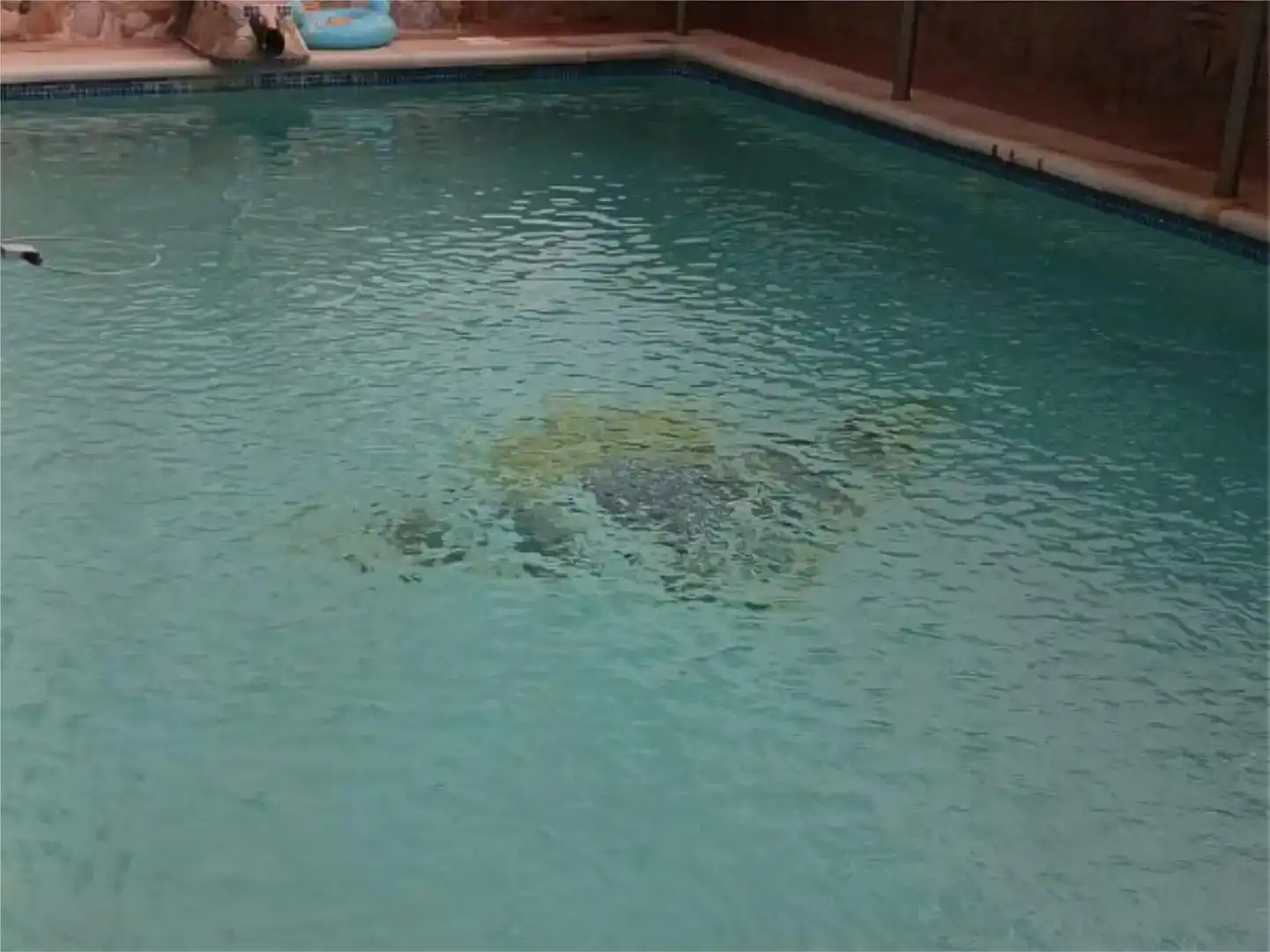 Piscina de Pis en venda en Écija amb Aire condicionat, Jardí privat i Piscina
