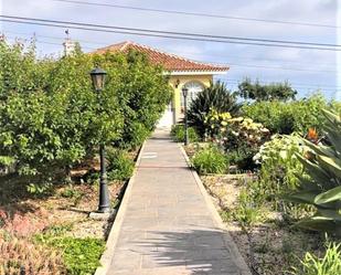 Vista exterior de Casa o xalet en venda en Vilaflor de Chasna amb Terrassa