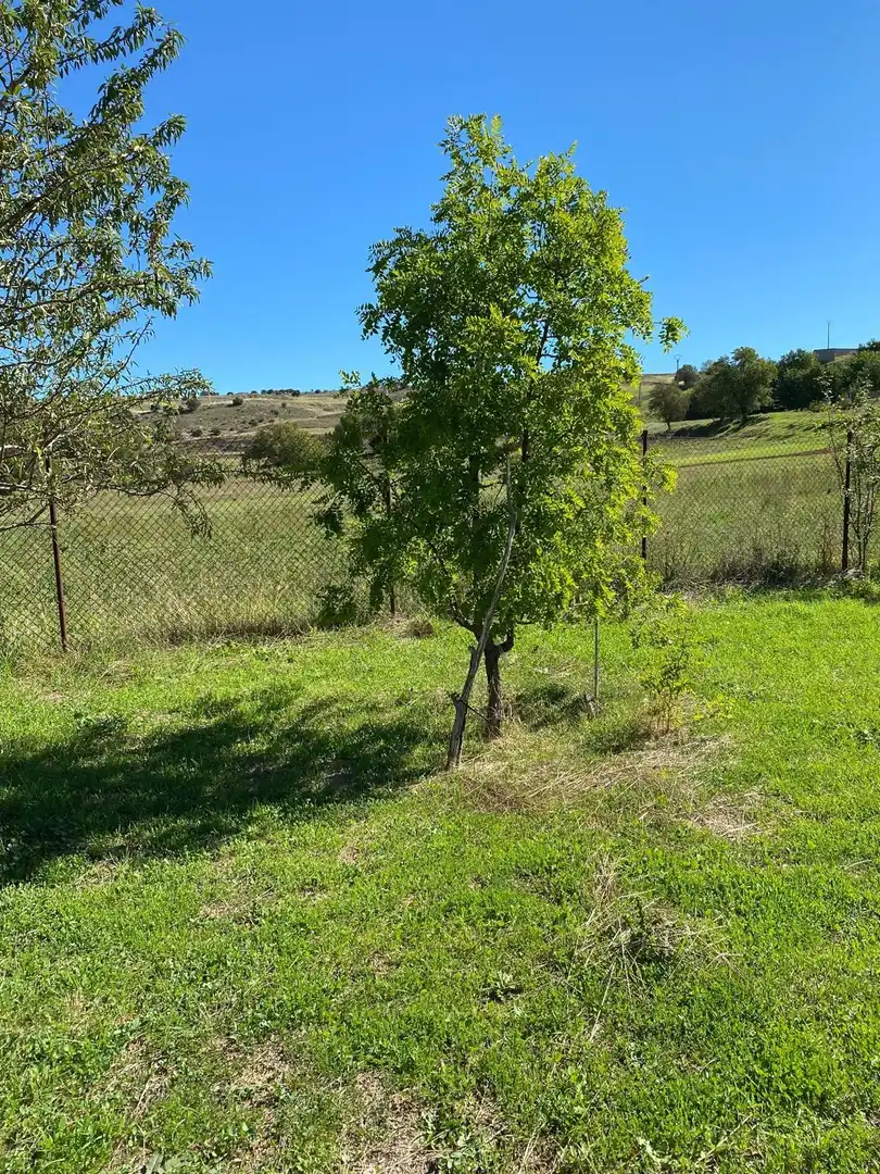 Terreno en venta en Escopete