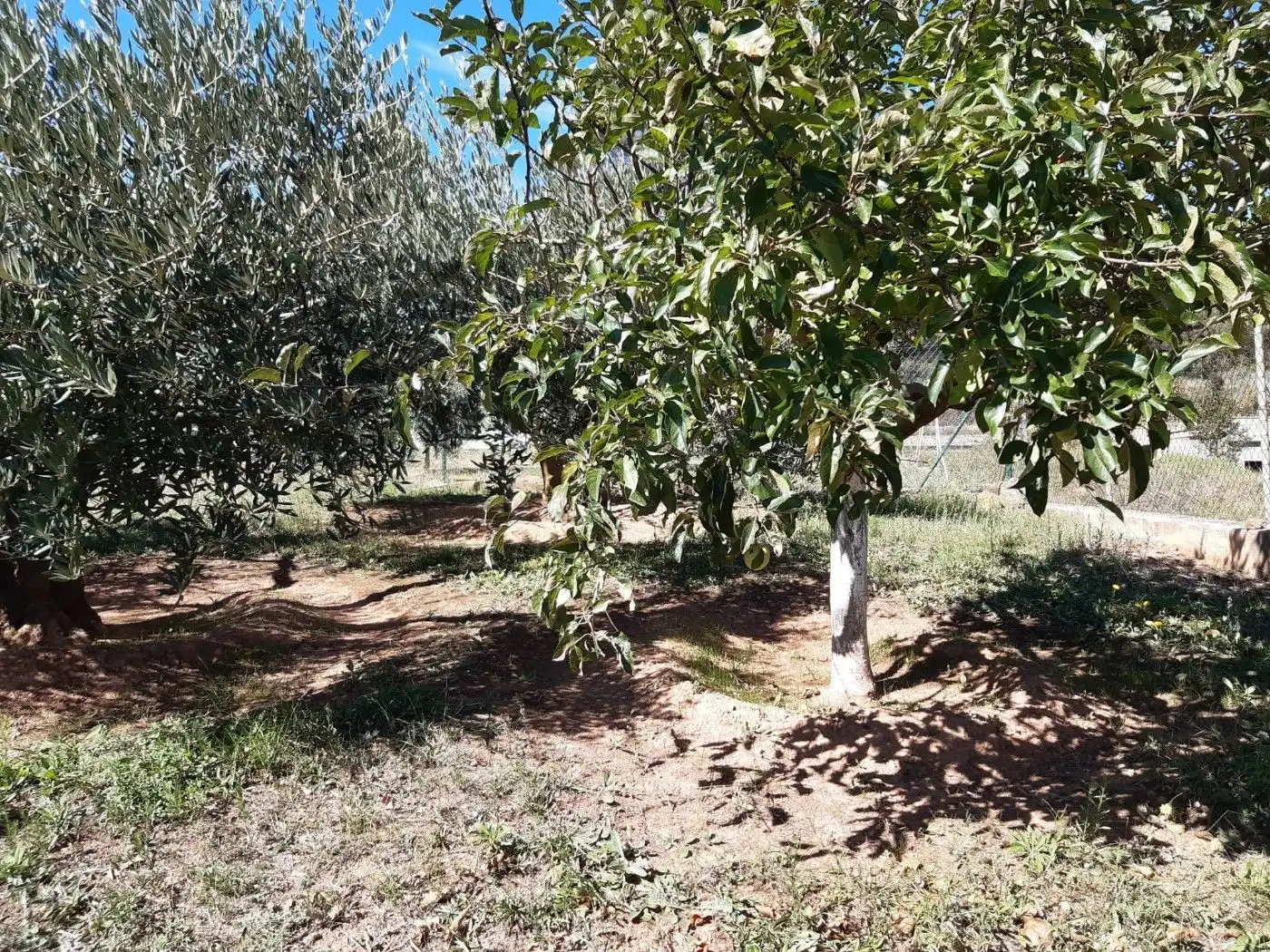 Residential land for sale in Carrer del Vapor, imagen 6