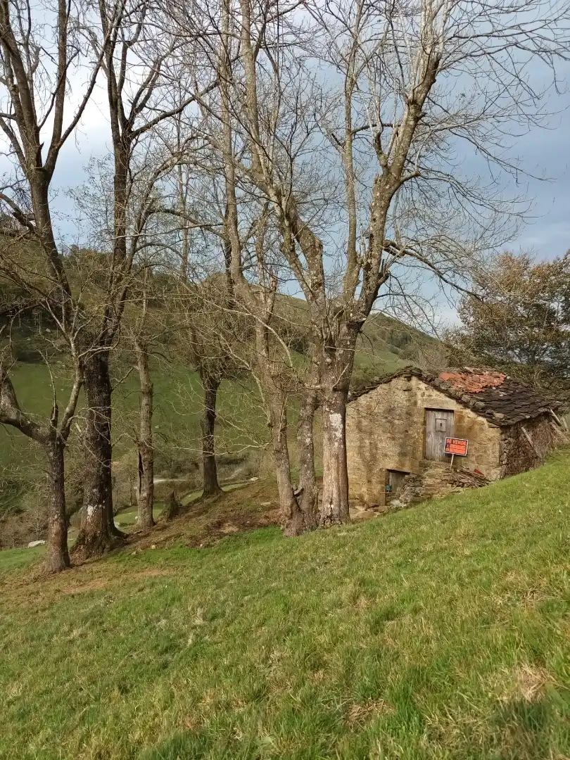 Vista exterior de Casa o chalet en venta en Soba con Jardín privado